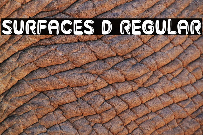 Surfaces 3D Regular Polices examples