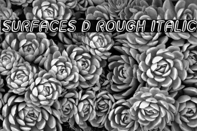 Surfaces 3D Rough Italic Font examples