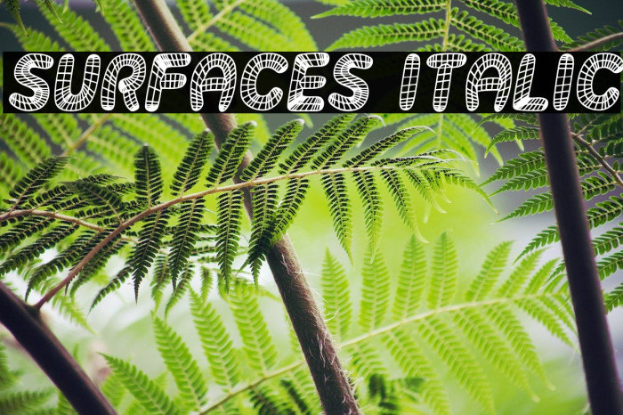 Surfaces Italic Font examples