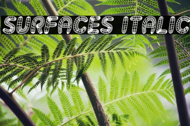 Surfaces Italic Example 3