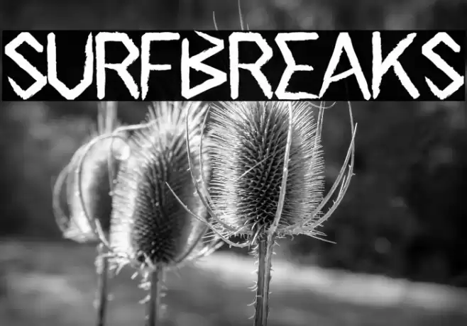 Surfbreaks Fuentes examples