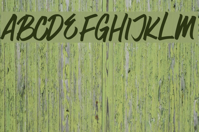 Surfer Bay Font examples