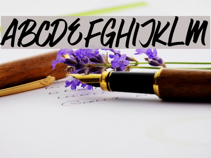 Surfer Bay Font examples