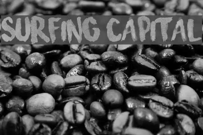 Surfing Capital Font examples