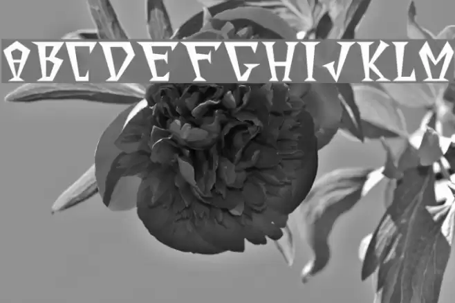 Surfinta Mars Font examples