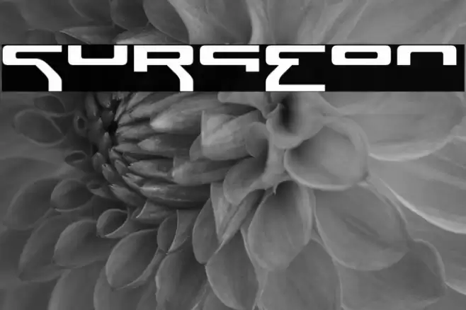 Surgeon Font examples