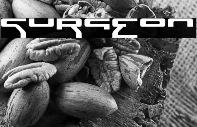 Surgeon Font examples