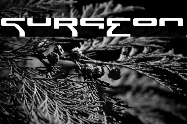 Surgeon Font examples