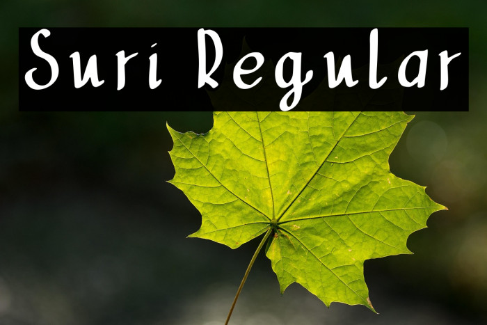 Suri Regular Example 1