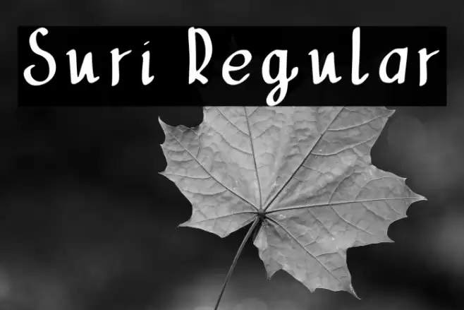Suri Regular Font examples