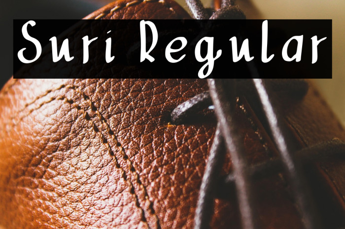 Suri Regular Example 2