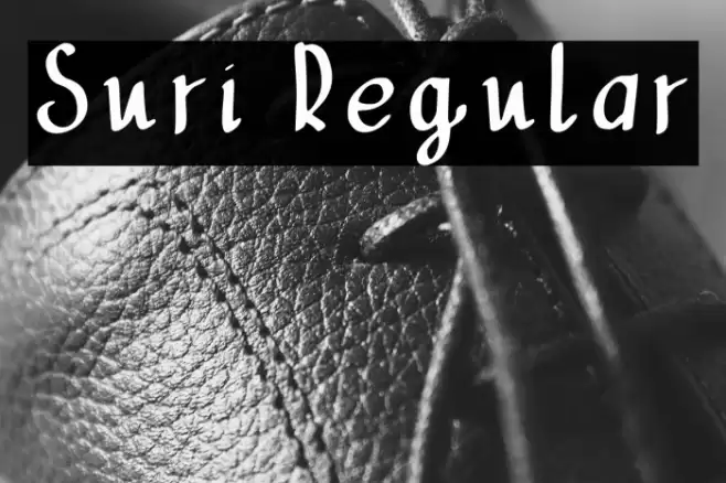 Suri Regular Font examples