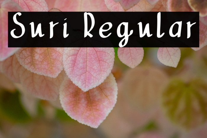 Suri Regular Example 3