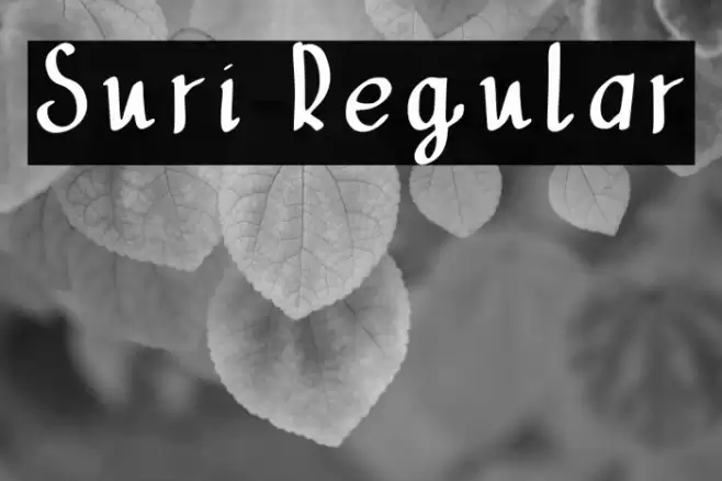 Suri Regular Font examples