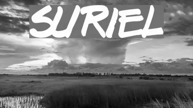 Suriel Font examples