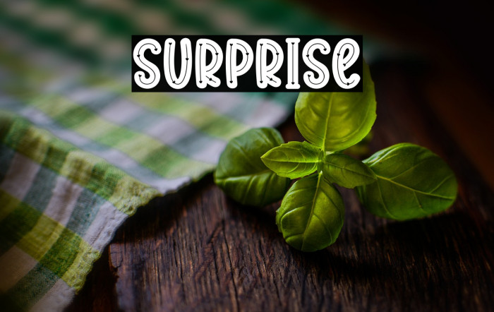 Surprise Example 1