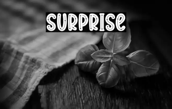 Surprise Font examples
