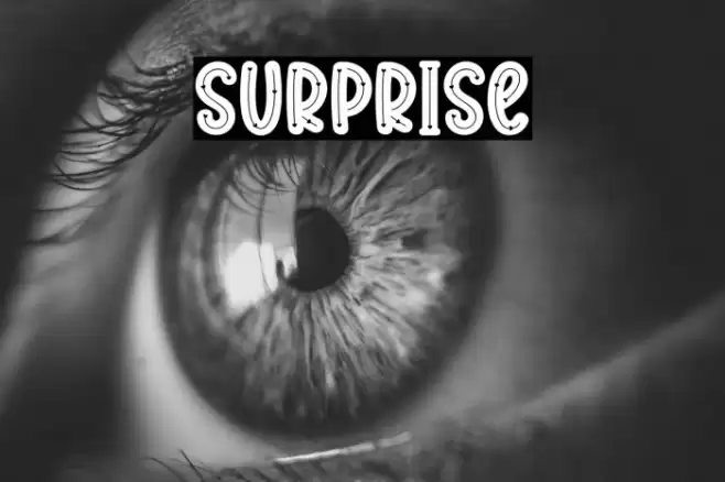Surprise Font examples