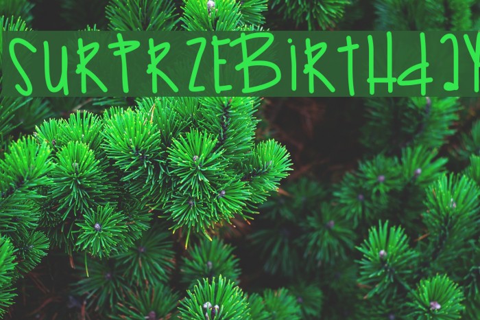 SurprzeBirthday Font examples