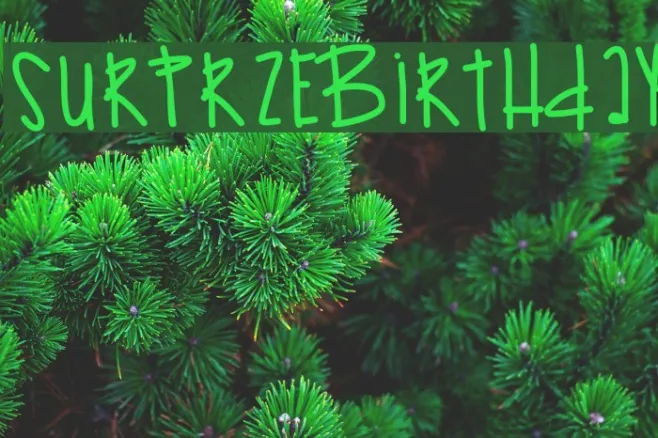 SurprzeBirthday Example 1