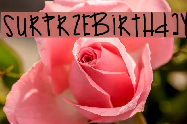 SurprzeBirthday Example 2