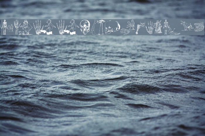SurrealisMK Font examples