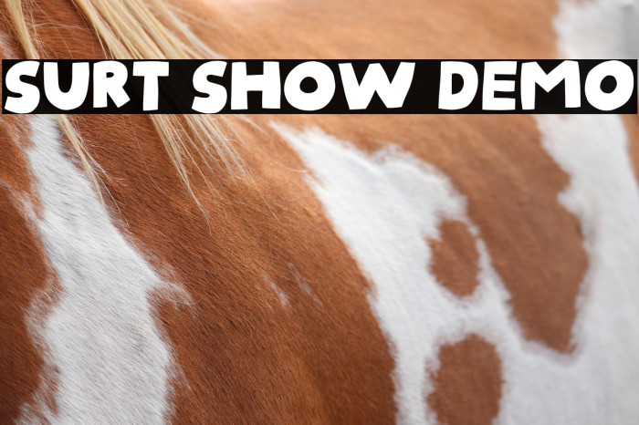 Surt Show DEMO Example 1