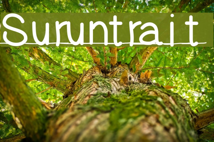 Suruntrait Font examples