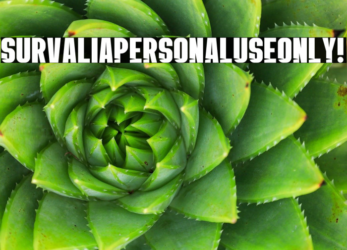 Survalia PERSONAL USE ONLY! Example 1