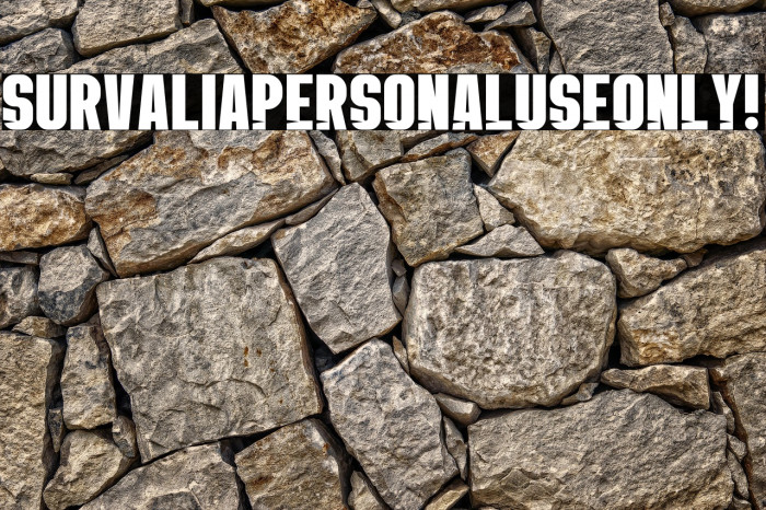 Survalia PERSONAL USE ONLY! Example 3