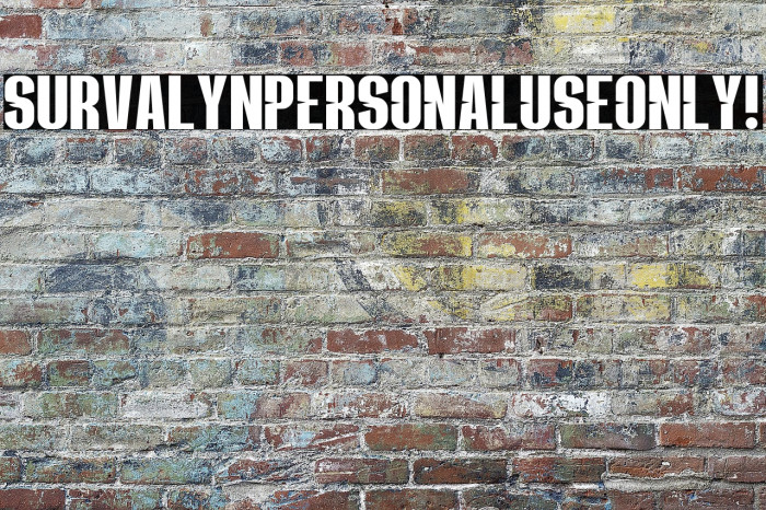 Survalyn PERSONAL USE ONLY! Example 1