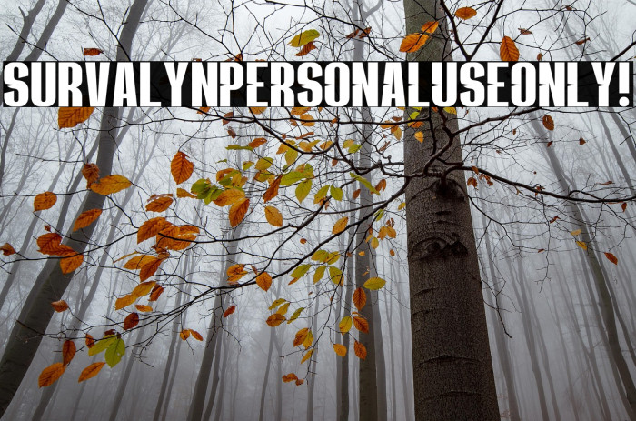 Survalyn PERSONAL USE ONLY! Example 2