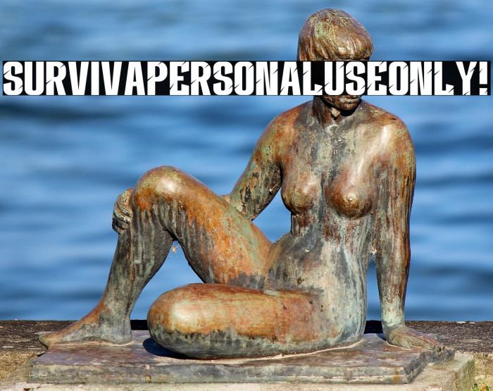 Surviva PERSONAL USE ONLY! Example 1