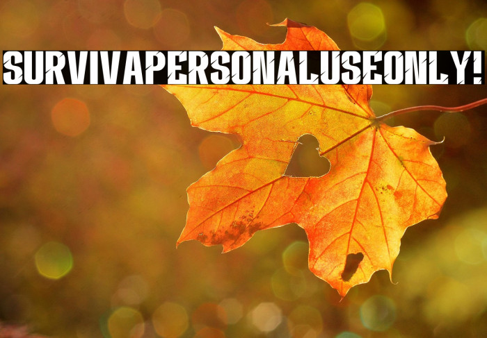 Surviva PERSONAL USE ONLY! Example 3