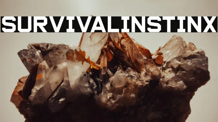 Survival Instinx Example 2