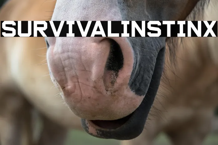 Survival Instinx Example 3