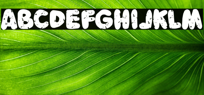 Survival Kids Example 1