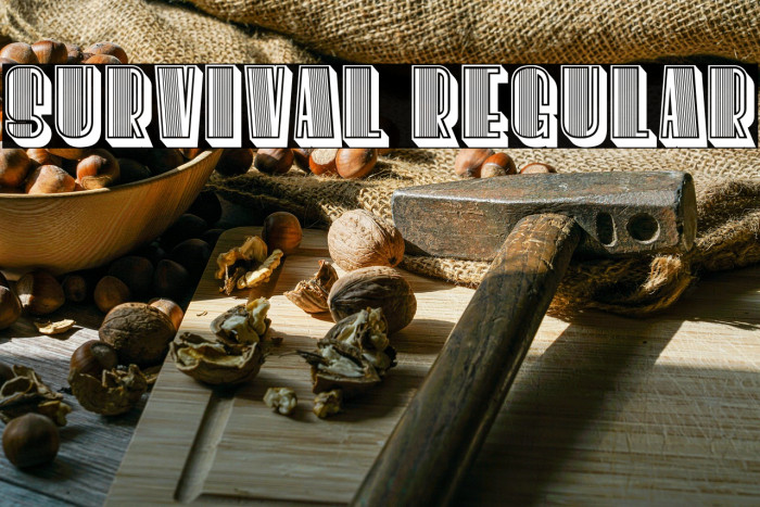 Survival Regular Example 1