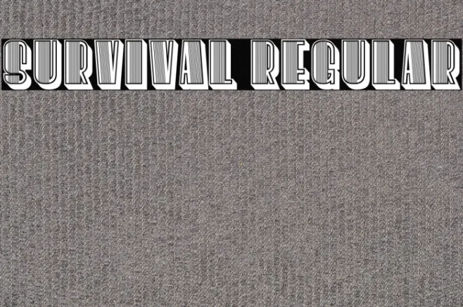 Survival Regular Example 2