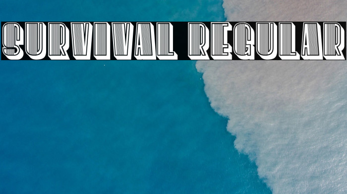 Survival Regular Example 3