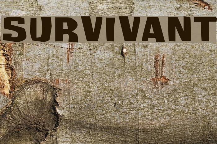 Survivant Font examples