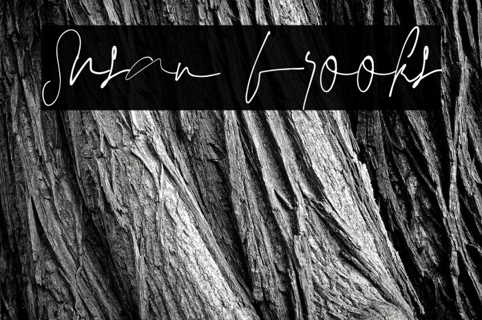 Susan brooks Example 1