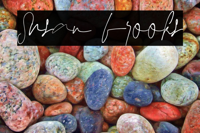 Susan brooks Example 2