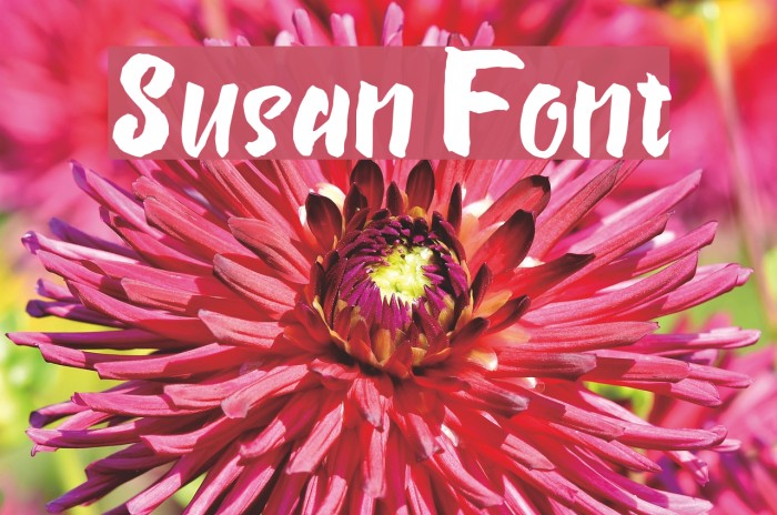 Susan Font examples