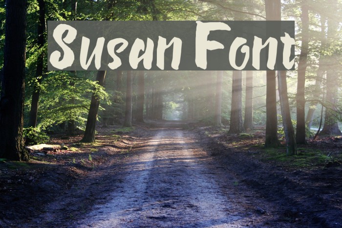 Susan Font examples