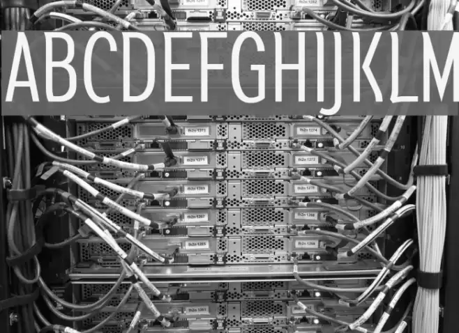 Susanna Font examples