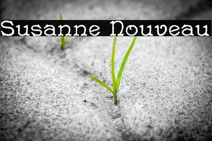 Susanne Nouveau Font examples