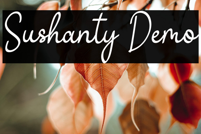 Sushanty Demo Example 1