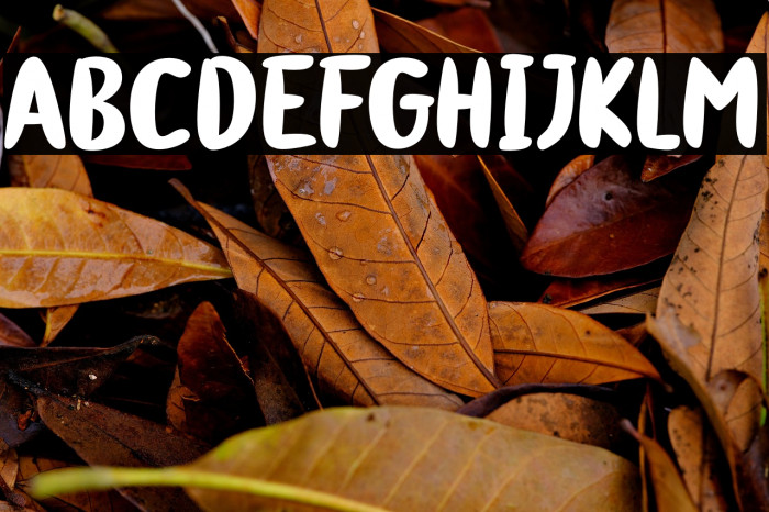 Sushi Delivery Example 1