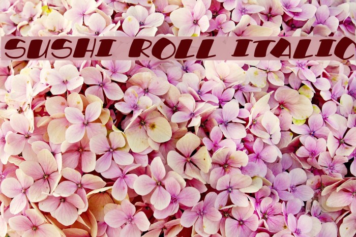 Sushi Roll Italic Font examples